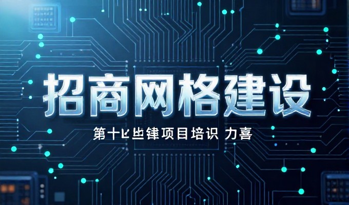 对比两种建站路径，决策者如何在效率与体验间找准平衡